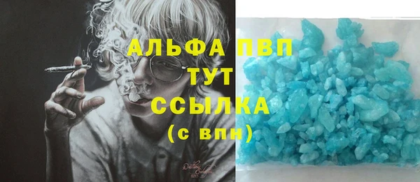 Альфа ПВП Белокуриха