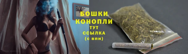 Альфа ПВП Белокуриха
