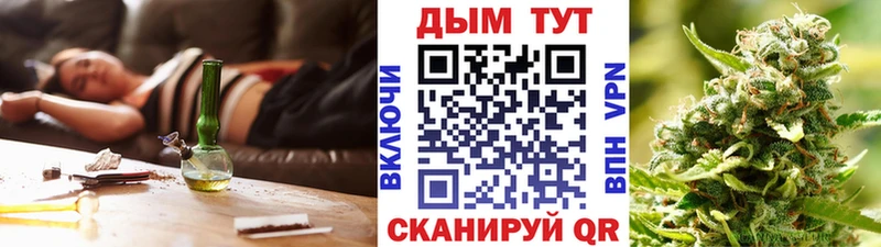 Шишки марихуана сатива  Новотитаровская 